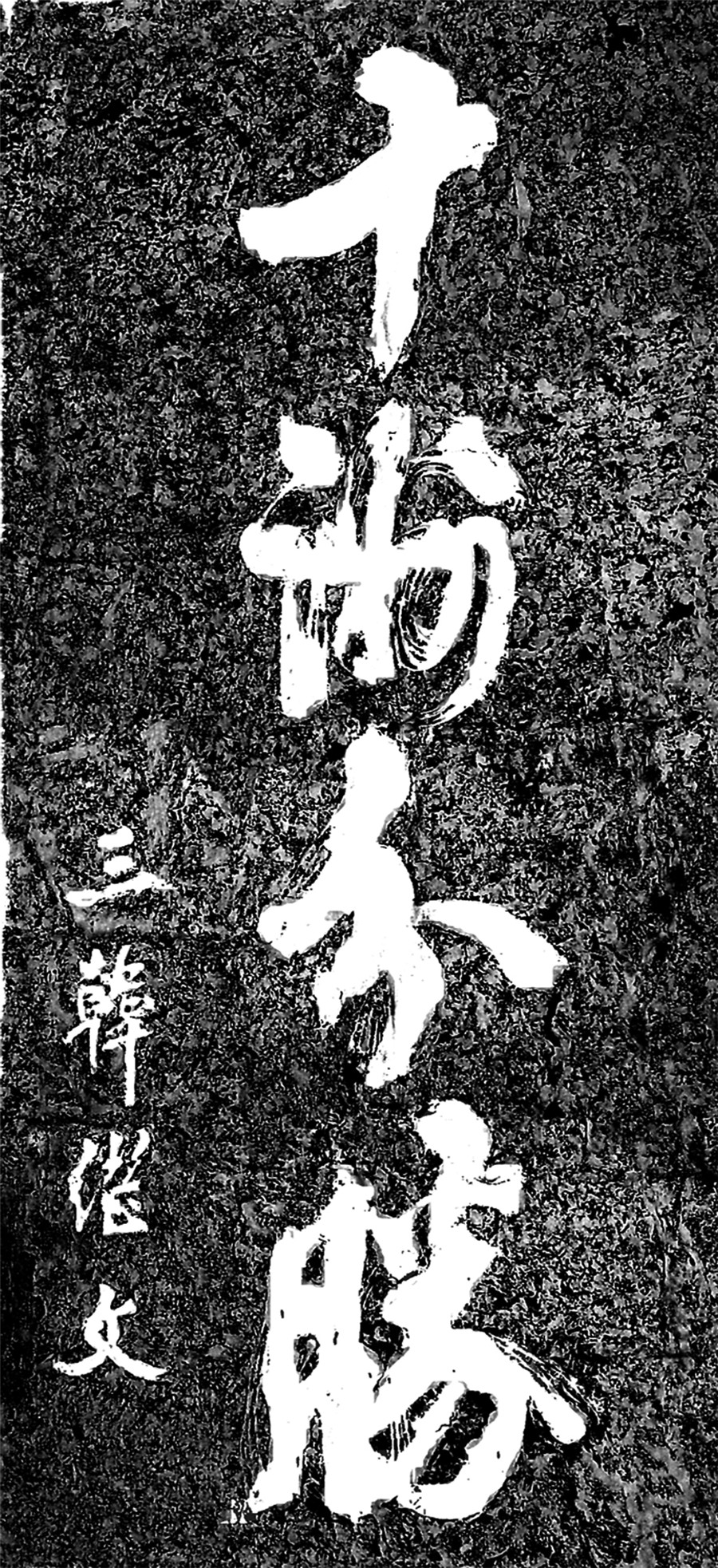 1653961844878029578.jpg