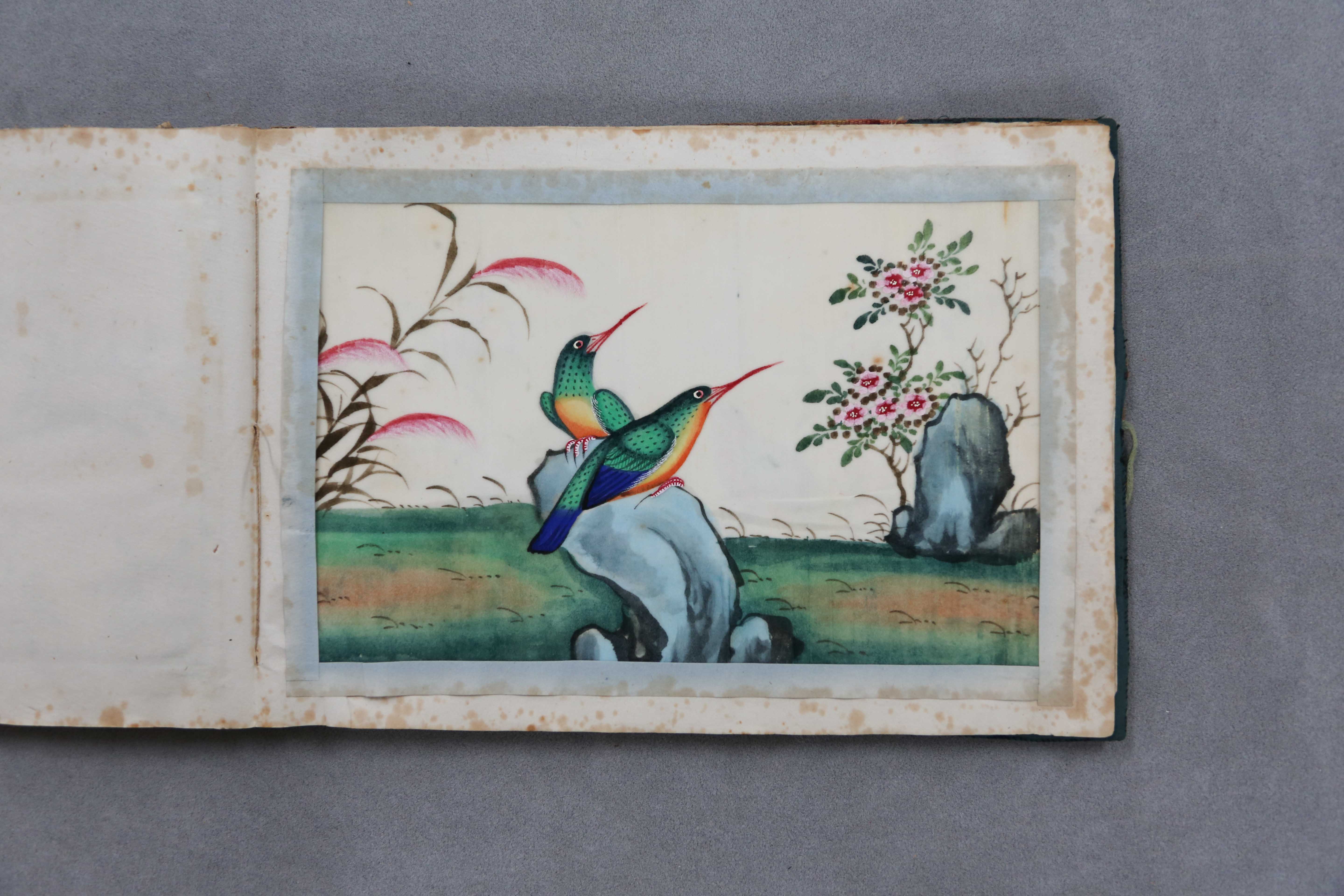 清花鸟图通草画