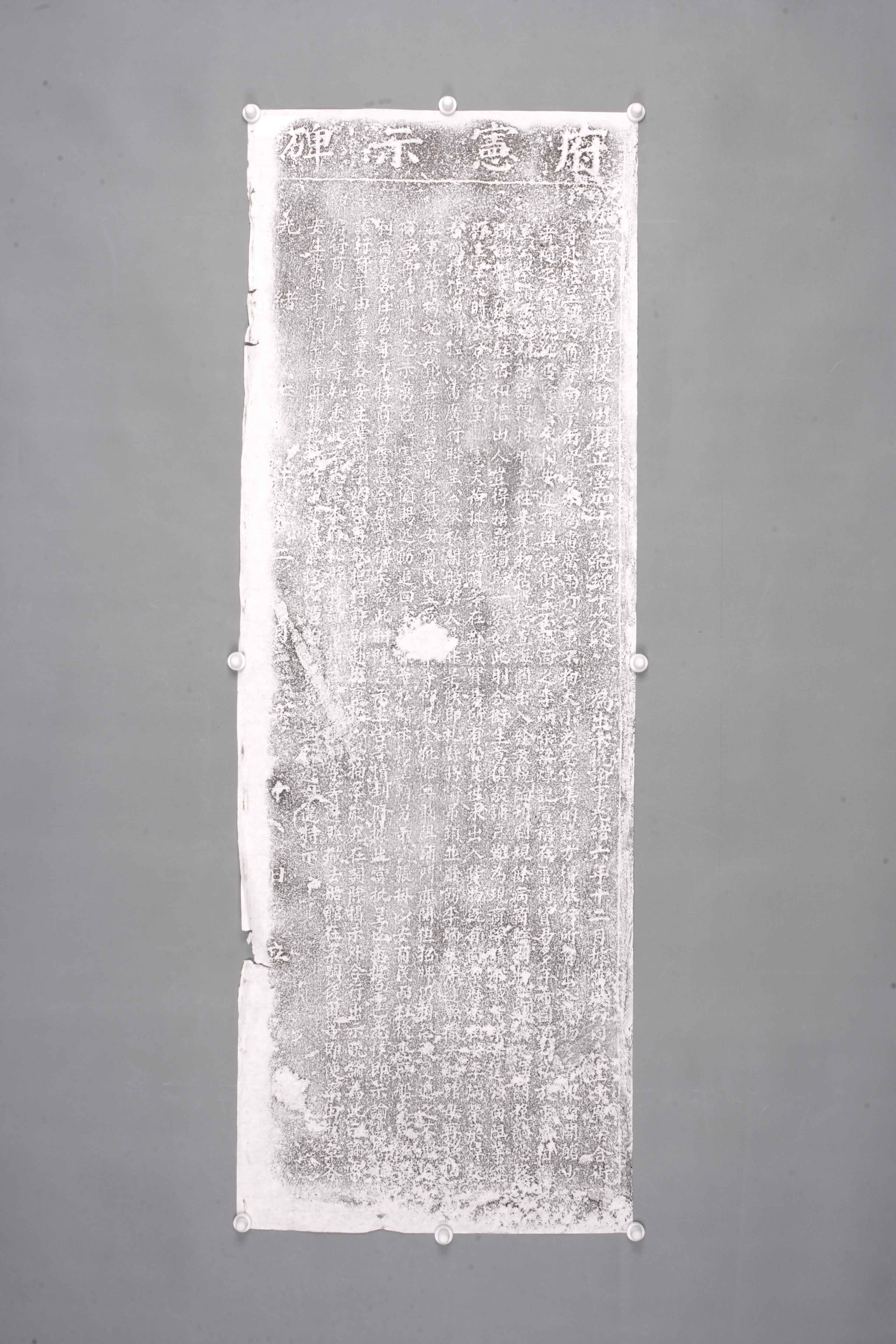 中华人民共和国清光绪府宪示碑拓片